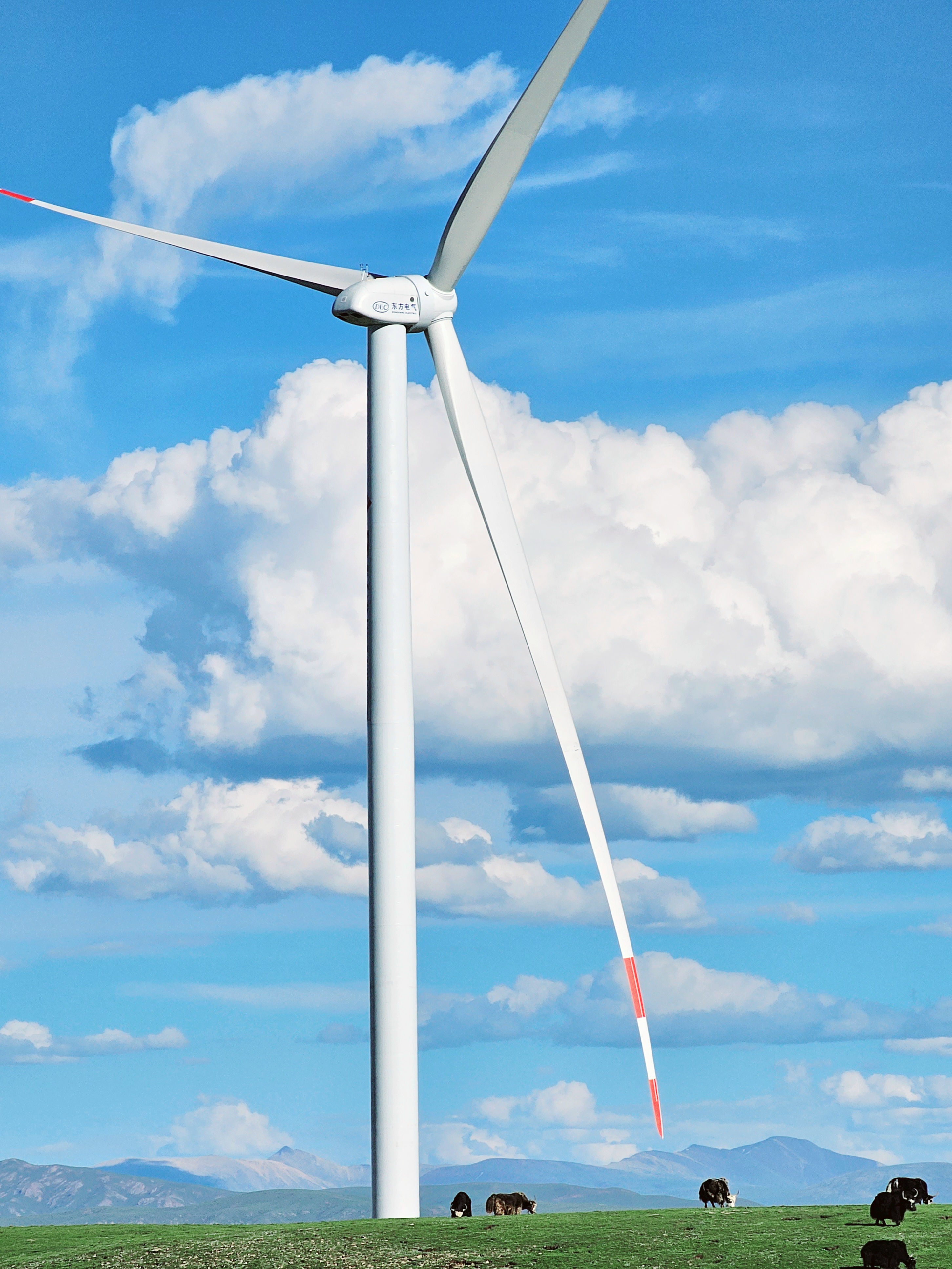 ��Ȧ-Ϊdu�����������