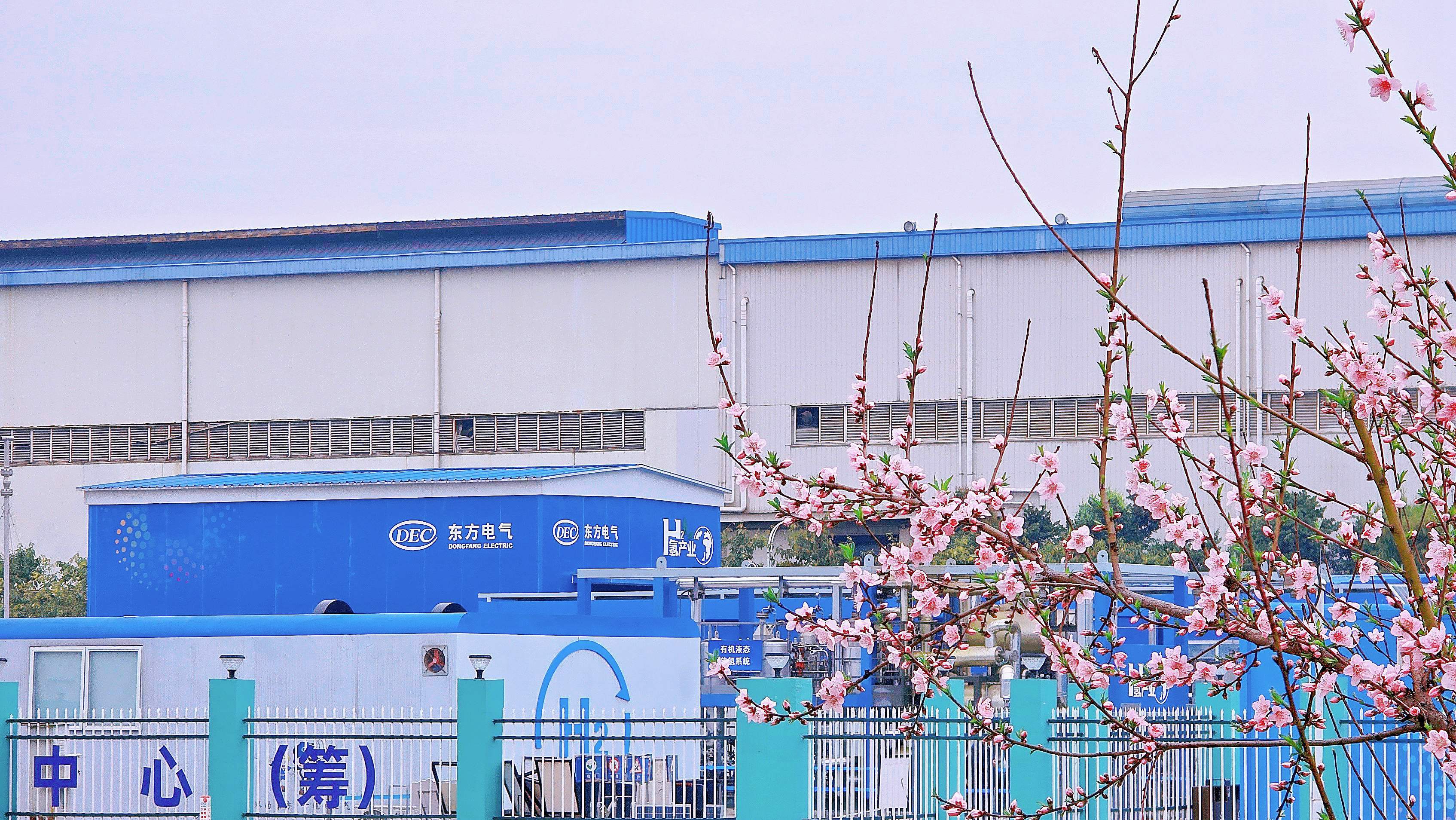 ��Ȧ-Ϊdu�����������