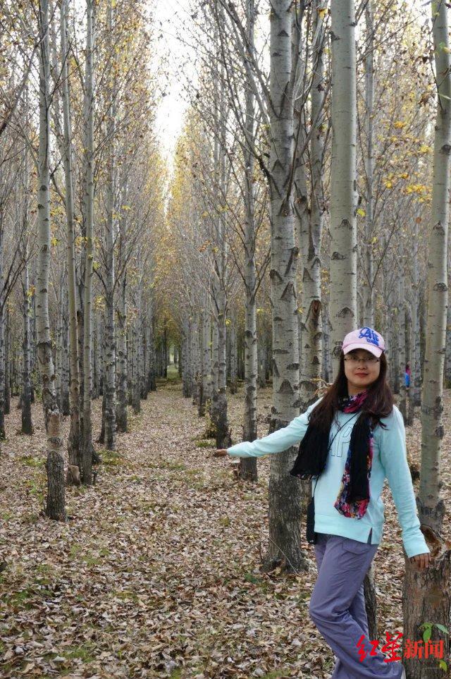 ��ɶ�����δ�� | �ɶ���������ҵ��Ȧǿ���˲����롱��ѡ�߶��ȣ�12���ᴺ��ͬ���ǡ�����