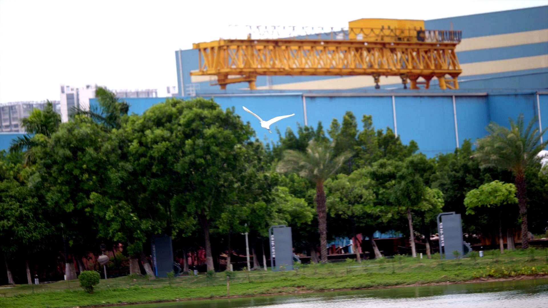 ��Ȧ-Ϊdu�����������