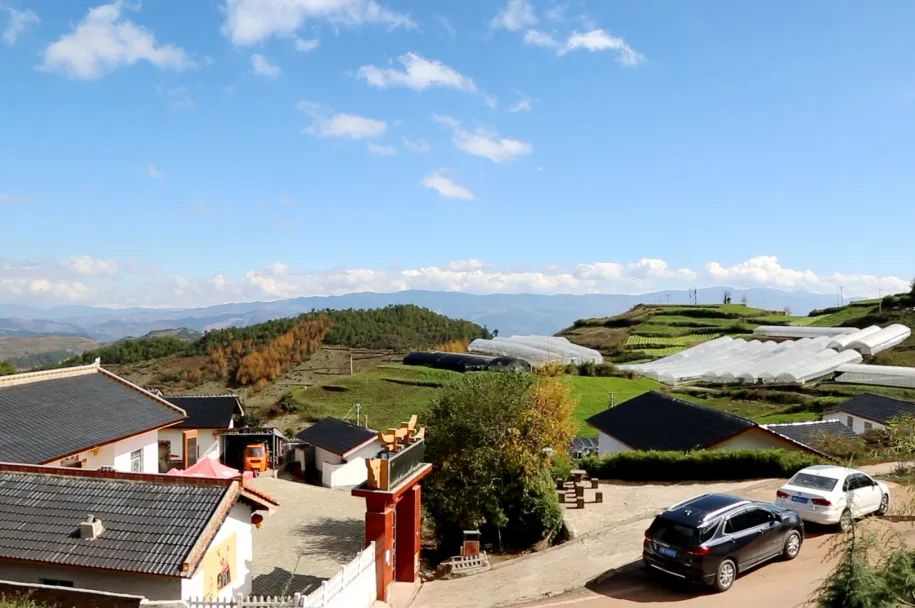 ��Ȧ-Ϊdu�����������