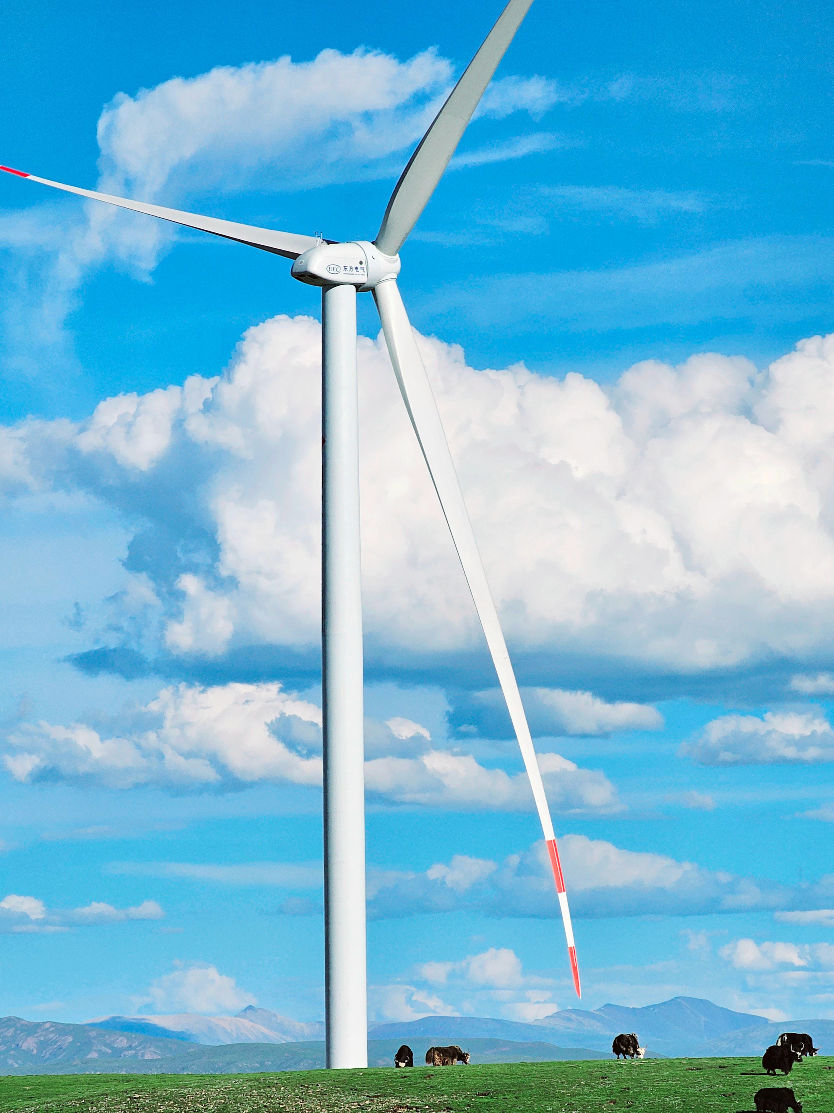 ��Ȧ-Ϊdu�����������