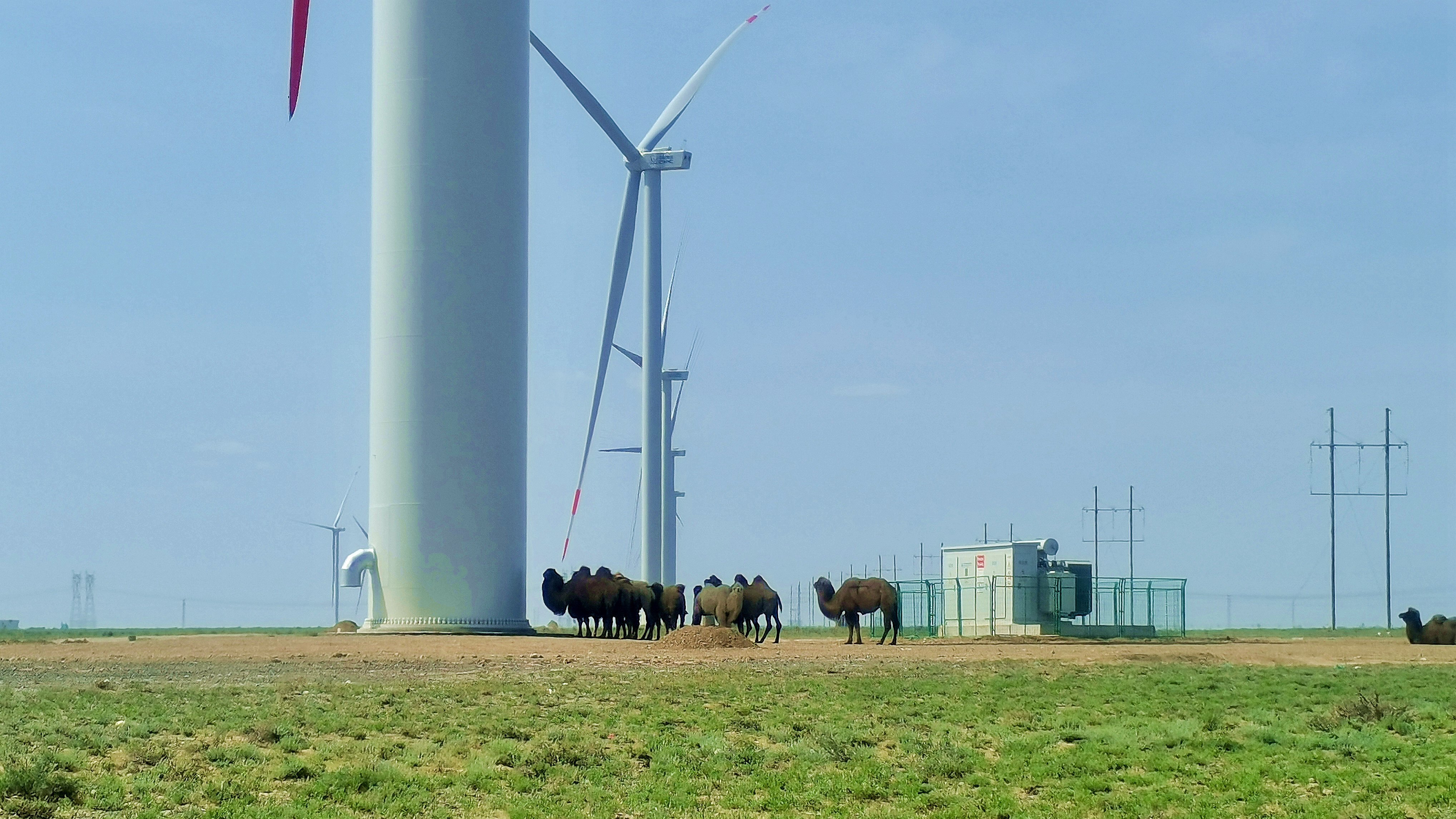 ��Ȧ-Ϊdu�����������