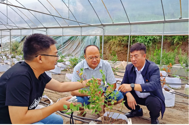 1724248016289618.png ΢ÐÅͼƬ_20240821214638.png