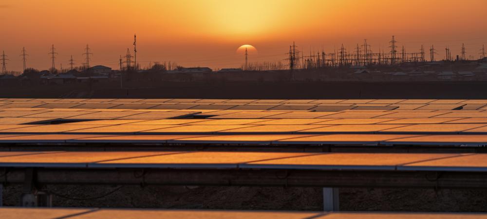 ��Ȧ-Ϊdu�����������