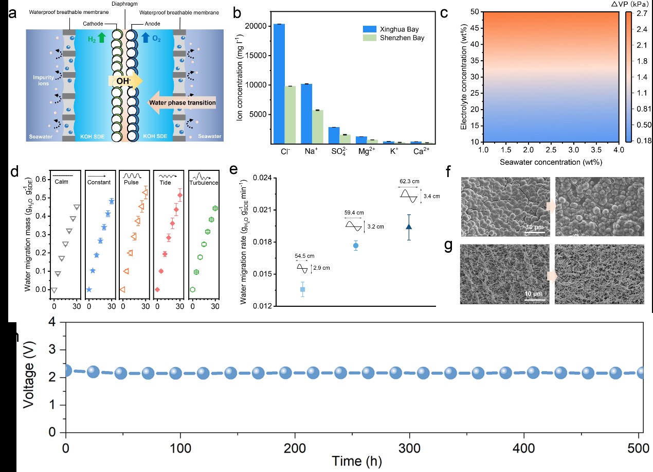��Ȧ-Ϊdu�����������