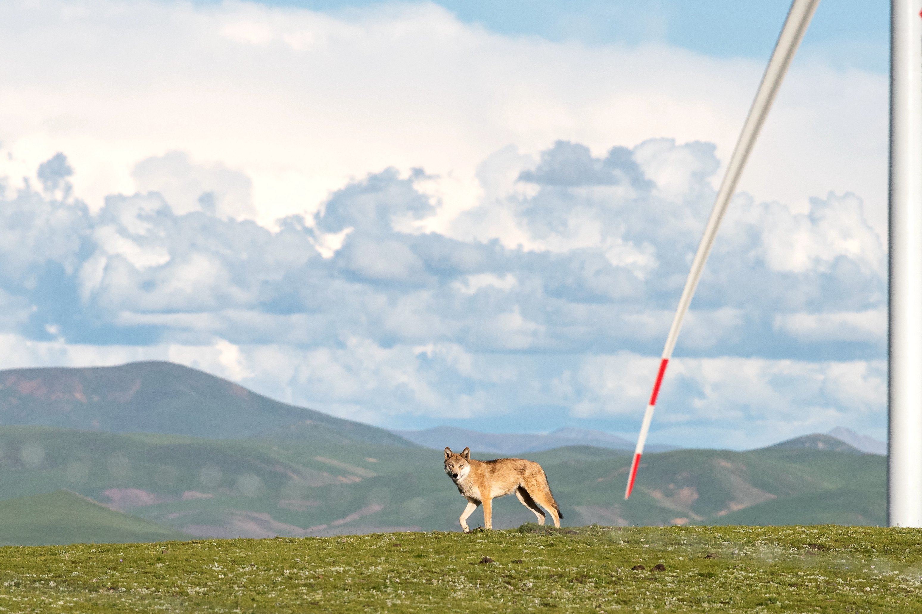 ��Ȧ-Ϊdu�����������