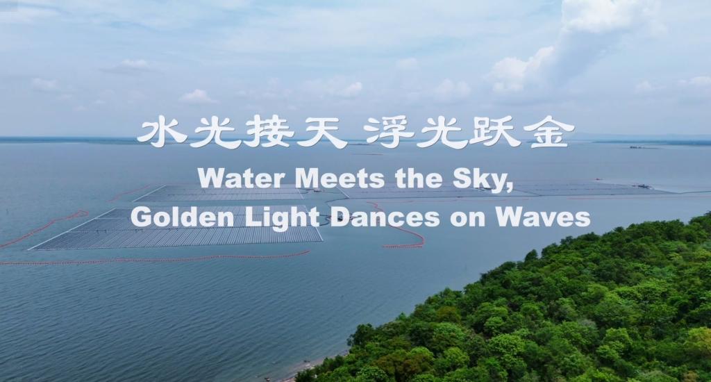 ��Ȧ-Ϊdu�����������